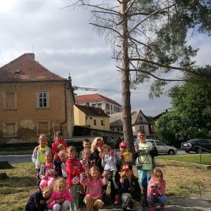 BOGI SUMMER CAMP 2019