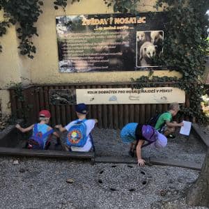 2nd BOGI DAY CAMP