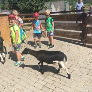 2nd BOGI DAY CAMP