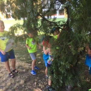 2nd BOGI DAY CAMP