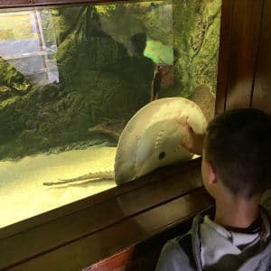 1.&nbsp;příměstský BOGI tábor