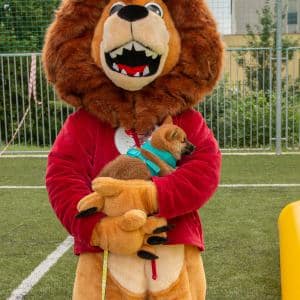 Sportovní BOGI den – Lovosice 2020