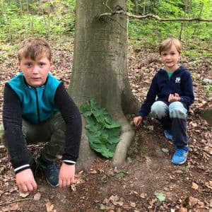 BOGI SUMMER CAMP 2020