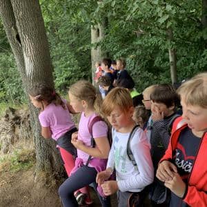 BOGI SUMMER CAMP 2020