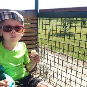 2nd DAY CAMP BOGI 2020 – Lovosice