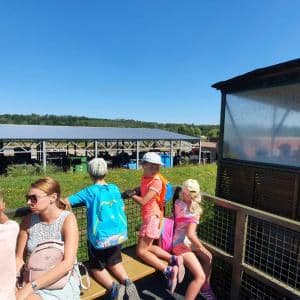 2nd DAY CAMP BOGI 2020 – Lovosice