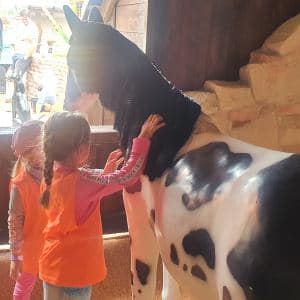 I. DAY CAMP BOGI – Lovosice and Ústí nad Labem