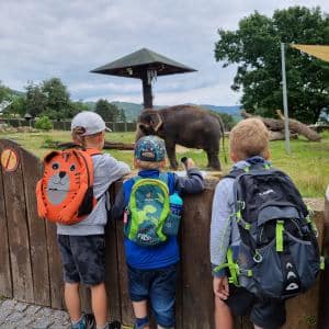 I. DAY CAMP BOGI – Lovosice and Ústí nad Labem