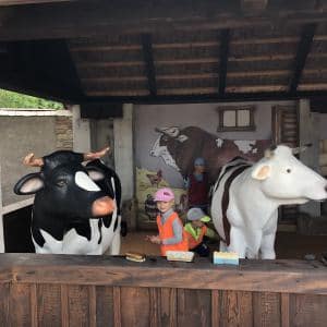 I. DAY CAMP BOGI – Lovosice and Ústí nad Labem