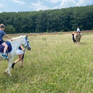 I. DAY CAMP BOGI – Lovosice and Ústí nad Labem