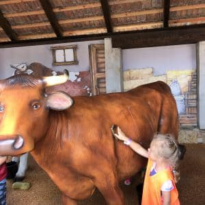 I. DAY CAMP BOGI – Lovosice and Ústí nad Labem