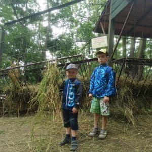 I. DAY CAMP BOGI – Lovosice and Ústí nad Labem