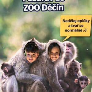II. DAY CAMP BOGI – Lovosice and Ústí nad Labem