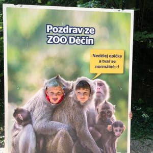 II. DAY CAMP BOGI – Lovosice and Ústí nad Labem