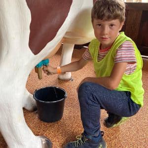II. DAY CAMP BOGI – Lovosice and Ústí nad Labem