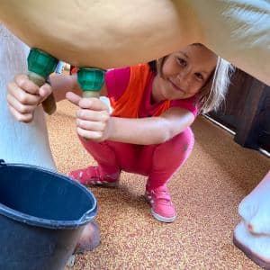 II. DAY CAMP BOGI – Lovosice and Ústí nad Labem