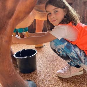II. DAY CAMP BOGI – Lovosice and Ústí nad Labem