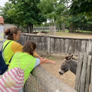 II. DAY CAMP BOGI – Lovosice and Ústí nad Labem