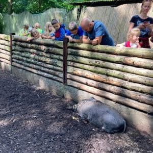 II. DAY CAMP BOGI – Lovosice and Ústí nad Labem