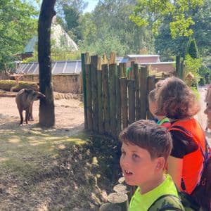 II. DAY CAMP BOGI – Lovosice and Ústí nad Labem