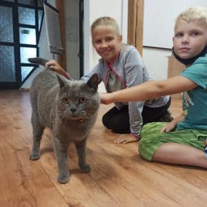 II. DAY CAMP BOGI – Lovosice and Ústí nad Labem