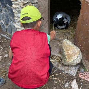 II. DAY CAMP BOGI – Lovosice and Ústí nad Labem