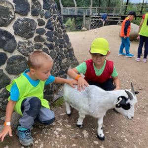 II. DAY CAMP BOGI – Lovosice and Ústí nad Labem