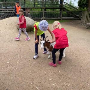 II. DAY CAMP BOGI – Lovosice and Ústí nad Labem