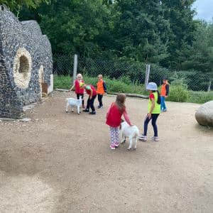 II. DAY CAMP BOGI – Lovosice and Ústí nad Labem