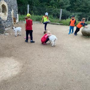 II. DAY CAMP BOGI – Lovosice and Ústí nad Labem
