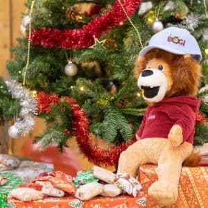 BOGI Christmas tournament 2021 – Ústí nad Labem