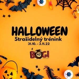 BOGI Halloween 👻 2022