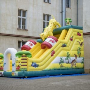 BOGI SPORTS day 2023 🏰🤸‍♂️ in Ústí nad Labem & Lovosice 🏅