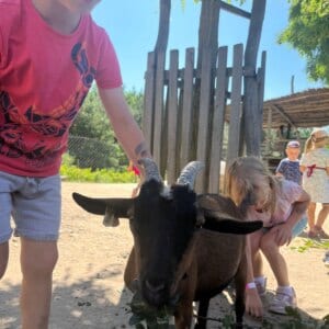BOGI day camps 🍦🍉🏖️🌞 2023
