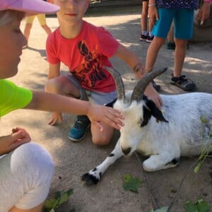 BOGI day camps 🍦🍉🏖️🌞 2023