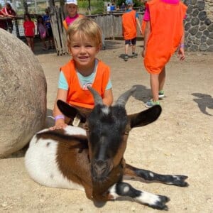 BOGI day camps 🍦🍉🏖️🌞 2023