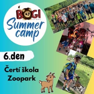 BOGI SUMMER CAMP 🏀🏕️🏊‍♀️ Zákupy 2023