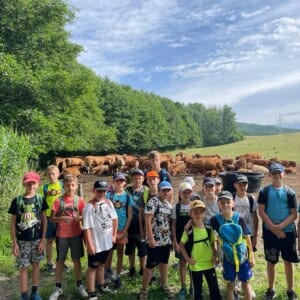 BOGI SUMMER CAMP 🏀🏕️🏊‍♀️ Zákupy 2023