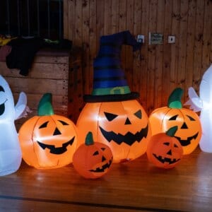 BOGI Halloween 🎃🦇 2023