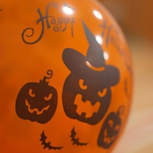 BOGI Halloween 🎃🦇 2023