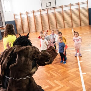 Mikulášské 🎅🦁 BOGI tréninky 2023