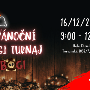 Vánoční 🎄🎁🦁 BOGI turnaje 2023
