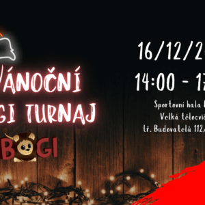 Vánoční 🎄🎁🦁 BOGI turnaje 2023
