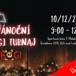 Vánoční 🎄🎁🦁 BOGI turnaje 2023