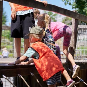 Příměstské BOGI tábory 2025<small> 🤸‍♀️🌞💦</small>