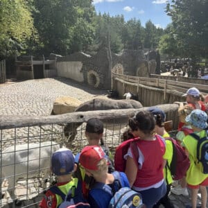 Příměstské BOGI tábory 2025<small> 🤸‍♀️🌞💦</small>